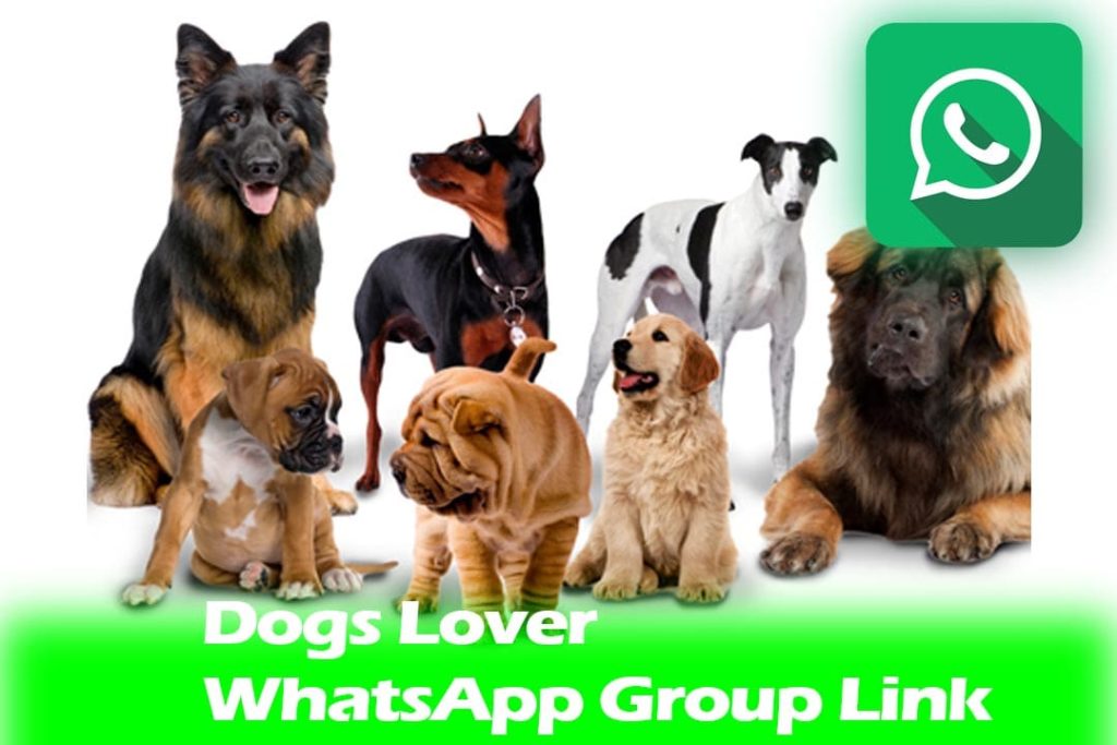 Dogs Lover WhatsaApp Group Link
